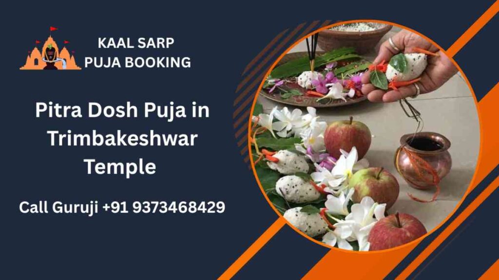 Pitra Dosh Puja in Trimbakeshwar Temple Nashik